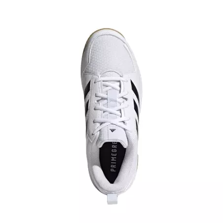 Chaussures Volley-ball Ligra 7 - Sport time