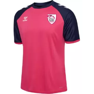 Maillot Hummel PDI HB