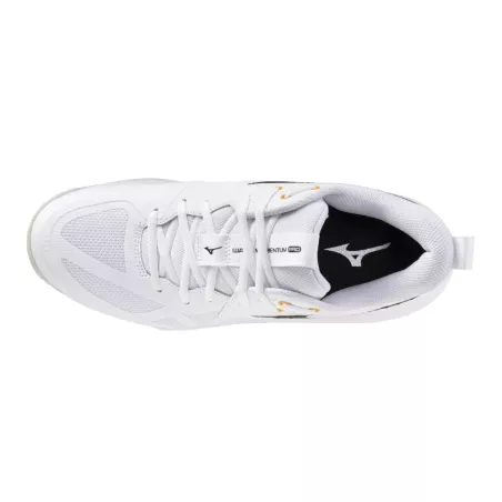 Chaussure volley Mizuno Wave Momentum Pro - Sport time
