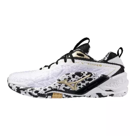 Chaussures handball Mizuno Wave Stealth Neo 2 - Sport time