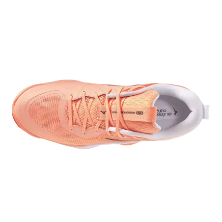 Mizuno Wave Momentum Elite - Chaussures Volleyball & Indoor