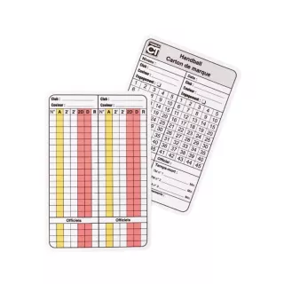 Cartes arbitrage handball lot de 10 - Comité de l'Isére
