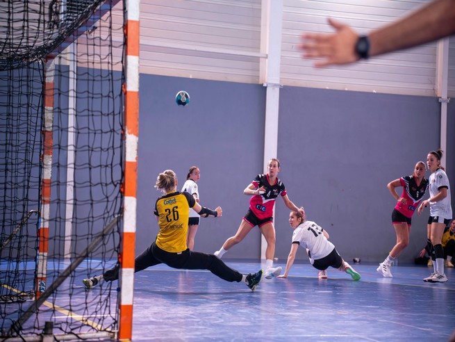 Chaussures de handball femme 